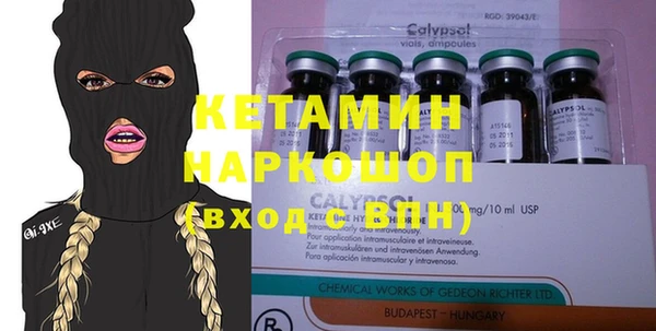 сатива Кулебаки
