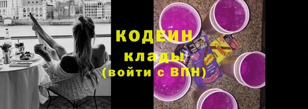 сатива Кулебаки