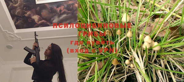 прущие крисы Куйбышев