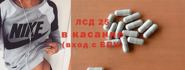 сатива Кулебаки