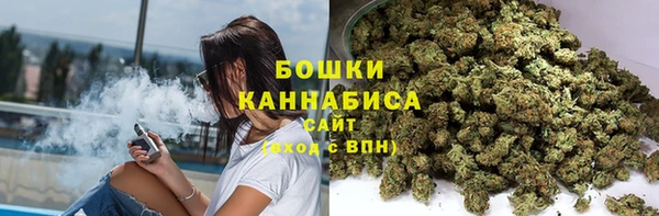 сатива Кулебаки