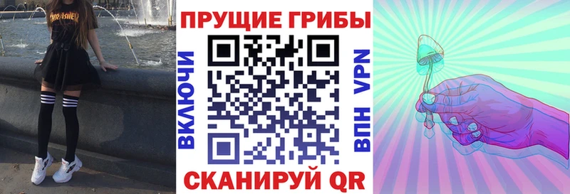 Галлюциногенные грибы мицелий  купить наркоту  Шимановск 