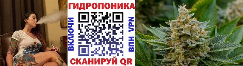 МАРИХУАНА Amnesia  сайты даркнета наркотические препараты  Шимановск 